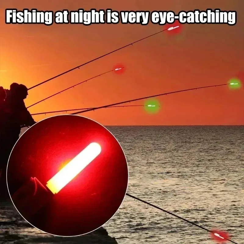 LED Removable Float Tackle Fis - đánh giá và giá Night Float Fishing