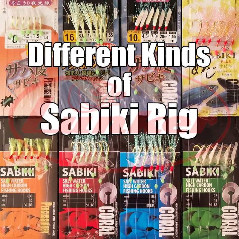 Lunker sabiki rig hooks lumino - đánh giá và giá Fishing Equipment Deals